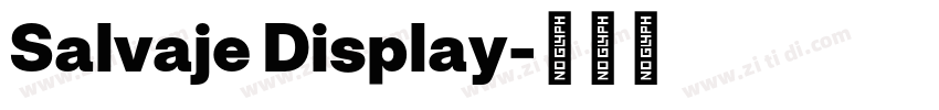 Salvaje Display字体转换 Salvaje Display字体转换